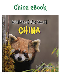 Children's ebook about the wildlife of China